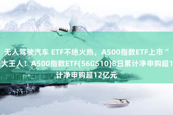 无人驾驶汽车 ETF不绝火热，A500指数ETF上市“吸睛”大王人！A500指数ETF(560610)8日累计净申购超12亿元