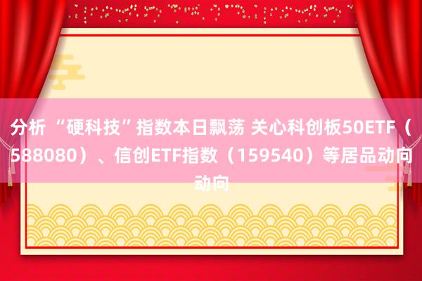 分析 “硬科技”指数本日飘荡 关心科创板50ETF（588080）、信创ETF指数（159540）等居品动向