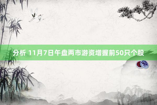 分析 11月7日午盘两市游资增握前50只个股