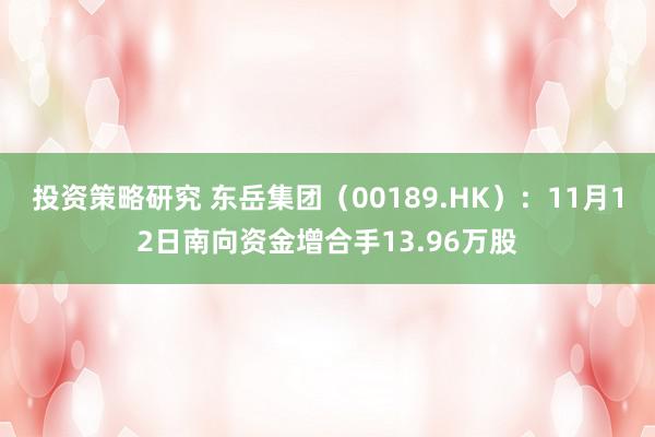 投资策略研究 东岳集团（00189.HK）：11月12日南向资金增合手13.96万股