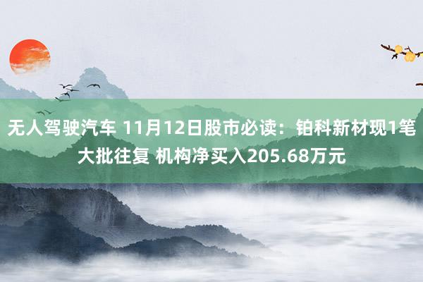 无人驾驶汽车 11月12日股市必读：铂科新材现1笔大批往复 机构净买入205.68万元