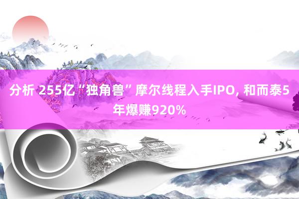 分析 255亿“独角兽”摩尔线程入手IPO, 和而泰5年爆赚920%