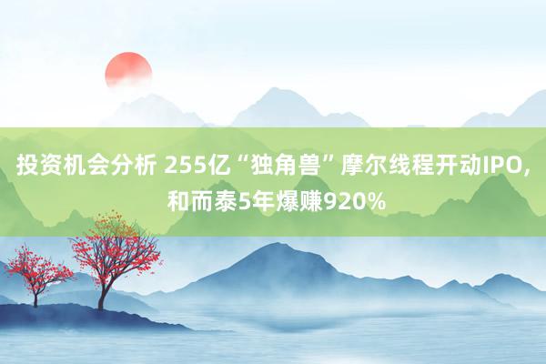 投资机会分析 255亿“独角兽”摩尔线程开动IPO, 和而泰5年爆赚920%