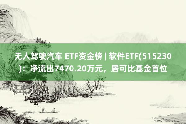 无人驾驶汽车 ETF资金榜 | 软件ETF(515230)：净流出7470.20万元，居可比基金首位