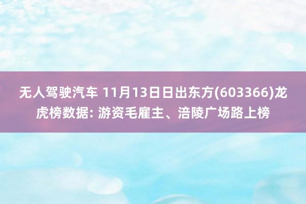 无人驾驶汽车 11月13日日出东方(603366)龙虎榜数据: 游资毛雇主、涪陵广场路上榜