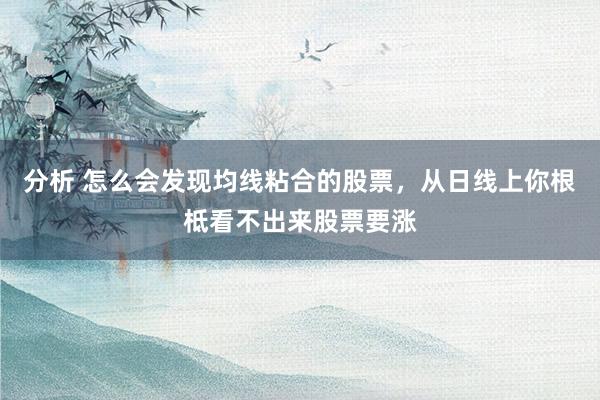 分析 怎么会发现均线粘合的股票，从日线上你根柢看不出来股票要涨