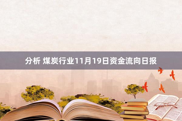 分析 煤炭行业11月19日资金流向日报