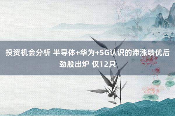 投资机会分析 半导体+华为+5G认识的滞涨绩优后劲股出炉 仅12只