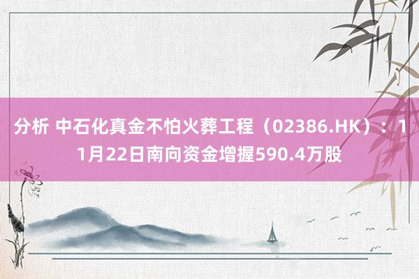 分析 中石化真金不怕火葬工程（02386.HK）：11月22日南向资金增握590.4万股