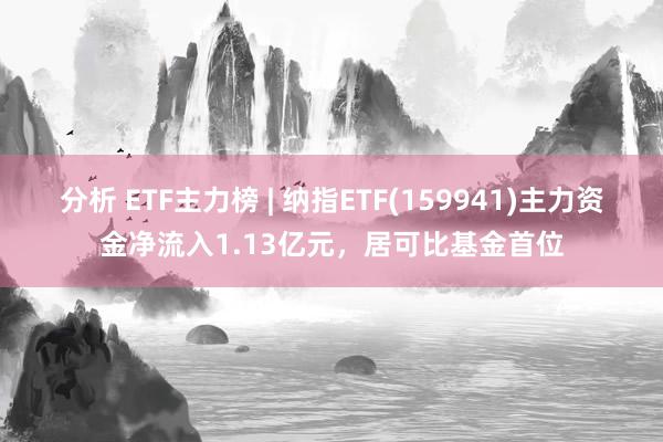 分析 ETF主力榜 | 纳指ETF(159941)主力资金净流入1.13亿元，居可比基金首位