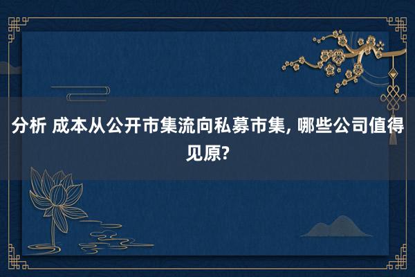 分析 成本从公开市集流向私募市集, 哪些公司值得见原?