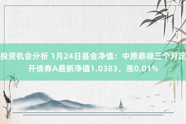 投资机会分析 1月24日基金净值：中原鼎禄三个月定开债券A最新净值1.0383，涨0.01%