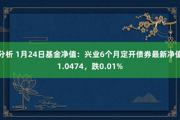 分析 1月24日基金净值：兴业6个月定开债券最新净值1.0474，跌0.01%