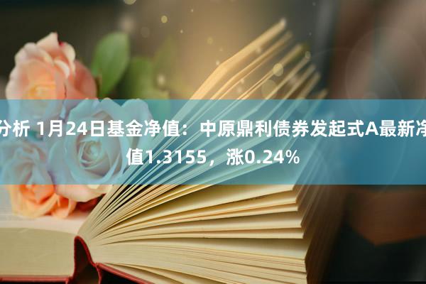 分析 1月24日基金净值：中原鼎利债券发起式A最新净值1.3155，涨0.24%