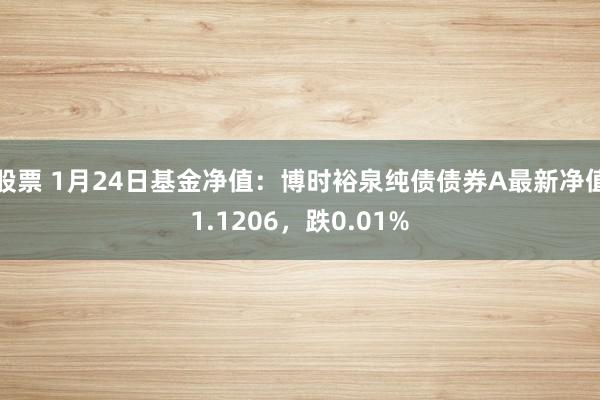 股票 1月24日基金净值：博时裕泉纯债债券A最新净值1.1206，跌0.01%