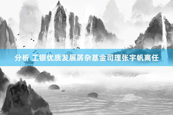 分析 工银优质发展羼杂基金司理张宇帆离任