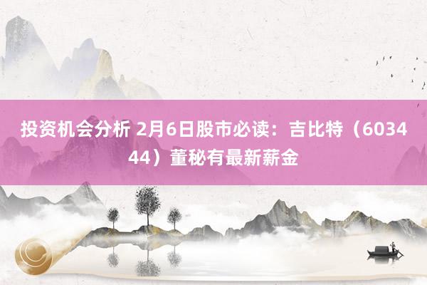 投资机会分析 2月6日股市必读：吉比特（603444）董秘有最新薪金