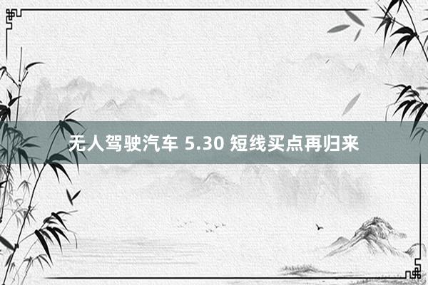 无人驾驶汽车 5.30 短线买点再归来