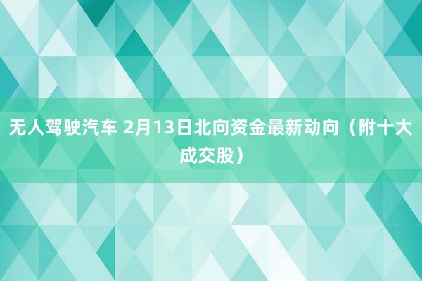 无人驾驶汽车 2月13日北向资金最新动向（附十大成交股）