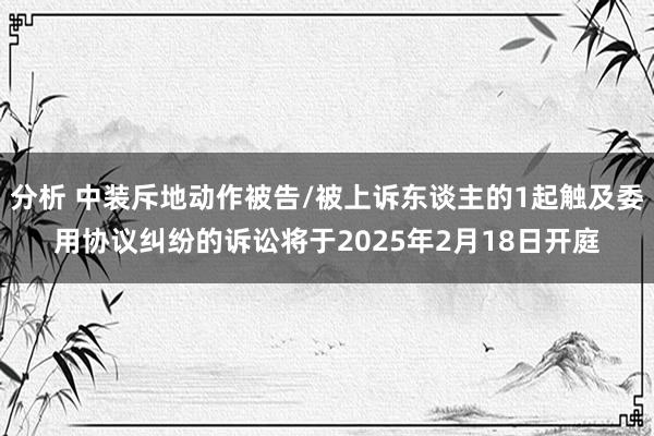 分析 中装斥地动作被告/被上诉东谈主的1起触及委用协议纠纷的诉讼将于2025年2月18日开庭