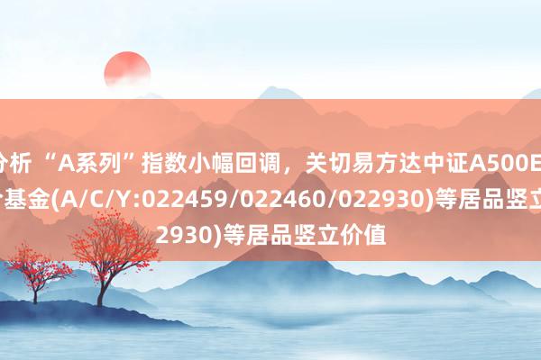 分析 “A系列”指数小幅回调，关切易方达中证A500ETF集合基金(A/C/Y:022459/022460/022930)等居品竖立价值