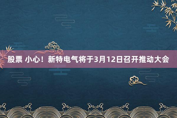 股票 小心！新特电气将于3月12日召开推动大会