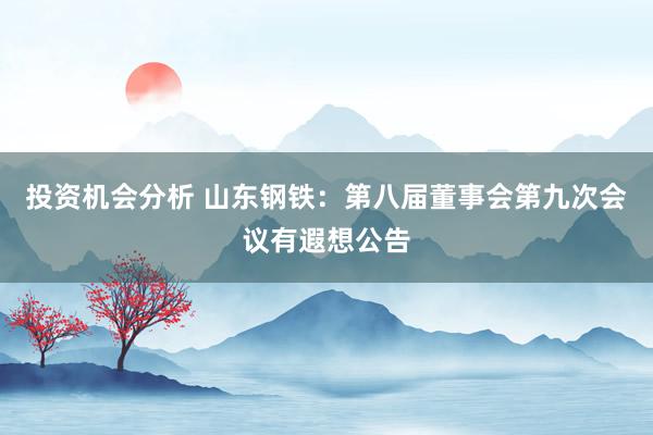 投资机会分析 山东钢铁：第八届董事会第九次会议有遐想公告