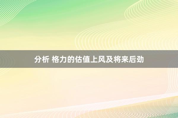 分析 格力的估值上风及将来后劲