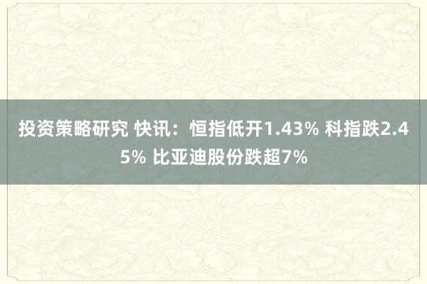 投资策略研究 快讯：恒指低开1.43% 科指跌2.45% 比亚迪股份跌超7%