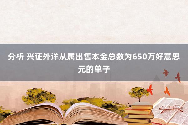 分析 兴证外洋从属出售本金总数为650万好意思元的单子