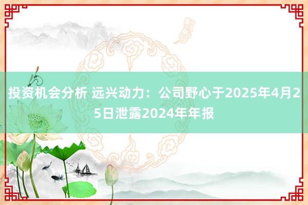 投资机会分析 远兴动力：公司野心于2025年4月25日泄露2024年年报