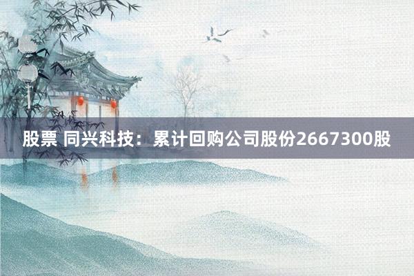 股票 同兴科技：累计回购公司股份2667300股