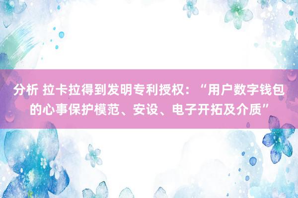 分析 拉卡拉得到发明专利授权：“用户数字钱包的心事保护模范、安设、电子开拓及介质”